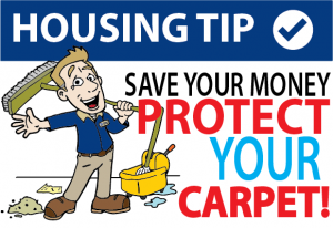 Save Your Money. Protect Your Carpet!